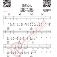 要不要买菜 你说Live版 吉他谱 无限延音编配