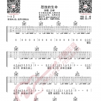 汪峰 怒放的生命 吉他谱 无限延音编配