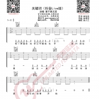 要不要买菜 关键词 抖音Live版 吉他谱 无限延音编配