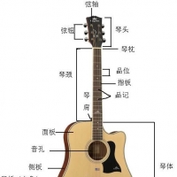 学琴没方向，我来给你完整的方向【钟的吉他】