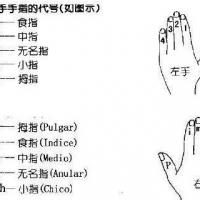 指弹技巧《轮指》教学，认真总结了一下午，还真有点难