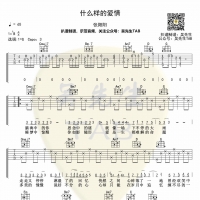 张阳阳《什么样的爱情》吉他谱【吴先生TAB】