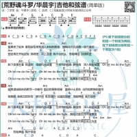 华晨宇《荒野魂斗罗》吉他谱及教学视频【大树音乐屋】