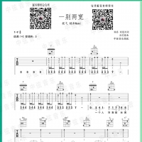 段弋/糯米Nomi 一别两宽吉他谱及歌词【中弦音乐】