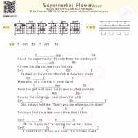 Ed Sheeran《Supermarket Flowers》吉他谱及歌词【白熊音乐】
