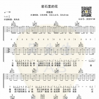 [岩石里的花吉他谱 ]邓紫棋《岩石里的花》吉他谱G调 吴先生TAB ...