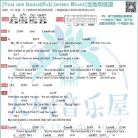 James Blunt《You are beautiful》吉他和弦谱  大树音乐屋