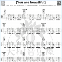 James Blunt《You are beautiful》吉他谱及教学视频 大树音乐屋