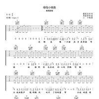 [经典老歌]秦昊《绿岛小夜曲》吉他谱C调简易版 小宁吉他