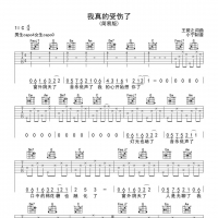 [经典老歌]张学友《我真的受伤了》吉他谱C调简易版 小宁吉他 ...