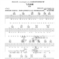 [抖音热歌]飞鸟和蝉吉他谱及歌词 任然  第7城市