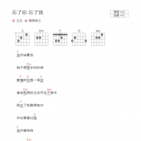 王杰《忘了你 忘了我》和弦吉他谱