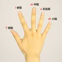 吉他怎么学？精简细讲吉他弹奏方法，给自学或初学的朋友们 ...