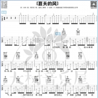 温岚《夏天的风》吉他谱及教学视频 大树音乐屋