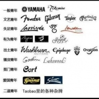 新手入门选吉他