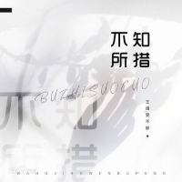 不知所措 王靖雯不胖 吉他谱 第七城市编配