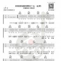 赵照《你就是我最想要的丫头》吉他谱及教学视频 小磊吉他