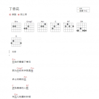 丁香花吉他谱和弦版 唐磊