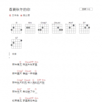 春夏秋冬的你吉他谱G调和弦版 王宇良