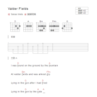 Valder Fields吉他谱D调和弦版 Tamas Wells