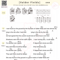 Tamas Wells《Valder Fields》吉他谱和弦版及歌词 白熊音乐