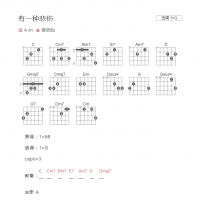 有一种悲伤吉他谱G调和弦版 A-lin