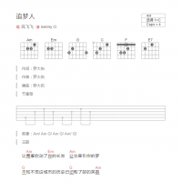 追梦人吉他谱C调和弦版 凤飞飞