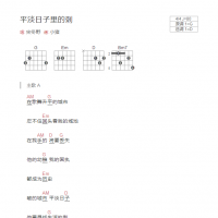 平淡日子里的刺吉他谱和弦版 宋冬野