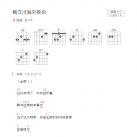 飘洋过海来看你吉他谱C调和弦吧 娃娃