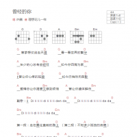曾经的你吉他谱（贝斯）和弦版 许巍