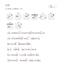 后来吉他谱（贝斯）和弦版 刘若英