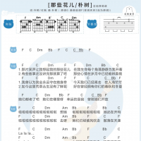 [男生版]朴树《那些花儿》吉他谱 白熊音乐