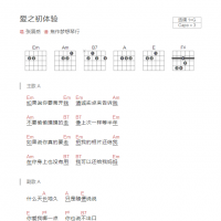 爱之初体验吉他谱G调和弦版 张震岳