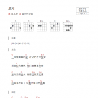 逝年吉他谱和弦版 夏小虎