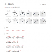 有一种悲伤吉他谱G调和弦版