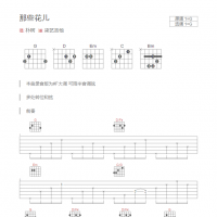那些花儿吉他谱G调和弦版 朴树