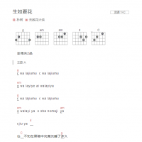 生如夏花吉他谱C调和弦版 朴树