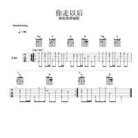 你走以后吉他SOLO谱 晓锐指弹吉他