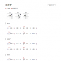 在雨中吉他谱C调和弦版 汪峰