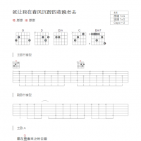 就让我在春风沉醉的夜晚老去吉他谱G调和弦版 原唱野夫子