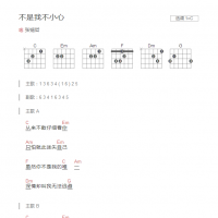 不是我不小心吉他谱C调和弦版 张镐哲