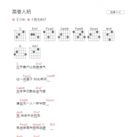 需要人陪吉他谱C调和弦版 王力宏