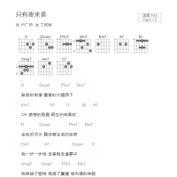 只有夜来香吉他谱D调和弦版 卢广仲