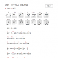 [原版变调]送你一朵小红花吉他谱G调和弦版 赵英俊