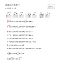 漂洋过海来看你吉他谱G调和弦版 刘明湘