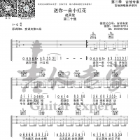 送你一朵小红花吉他谱 赵英俊 吉他专家