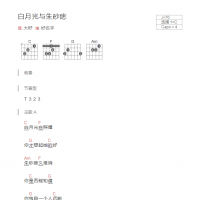 白月光与朱砂痣吉他谱C调和弦版 大籽