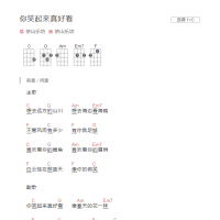 你笑起来真好看吉他谱C调和弦版