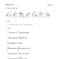 有何不可吉他谱G调和弦版 许嵩