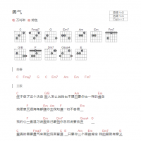 勇气吉他谱和弦版 万玲琳